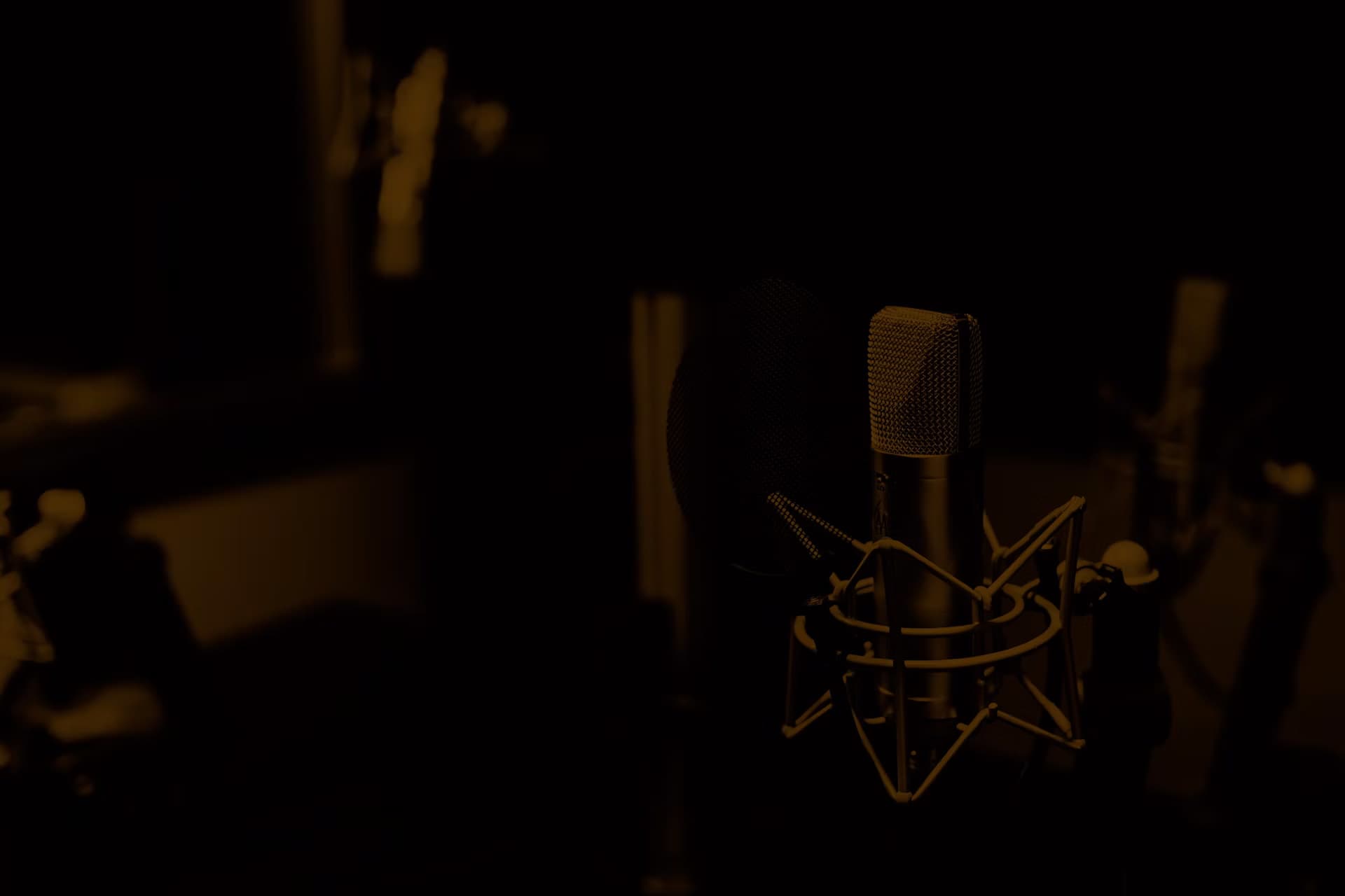 Microphone in a studio